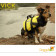 Colete Salva Vidas Para Cães Ativa Pet Vest Modelo1
